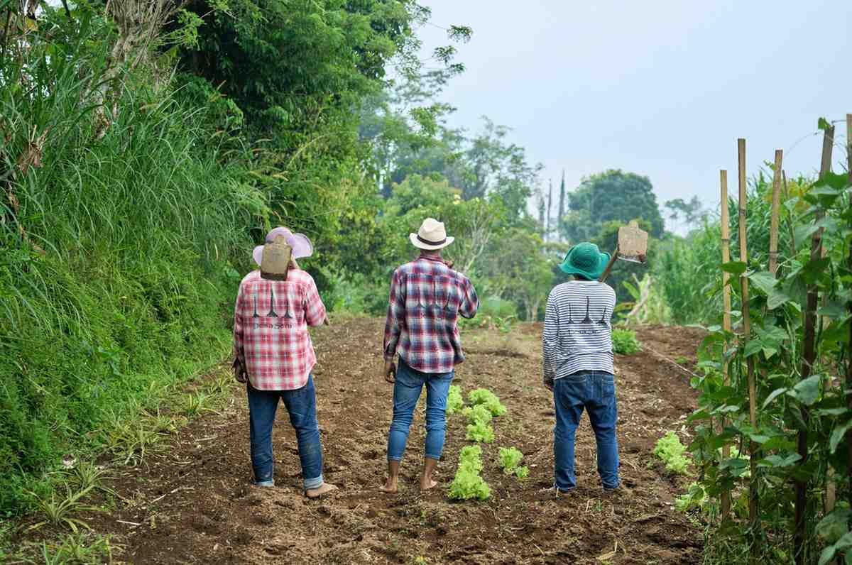Farming